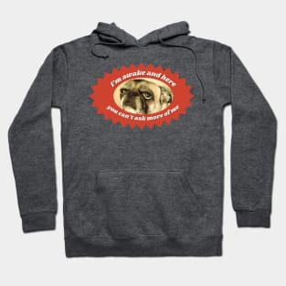 Tired Pug Funny Dog Design Hoodie